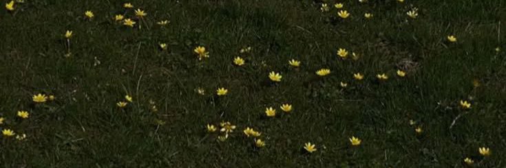 yxnru_'s profile banner image