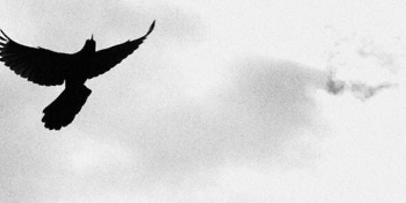 Clarissefagdr's profile banner image