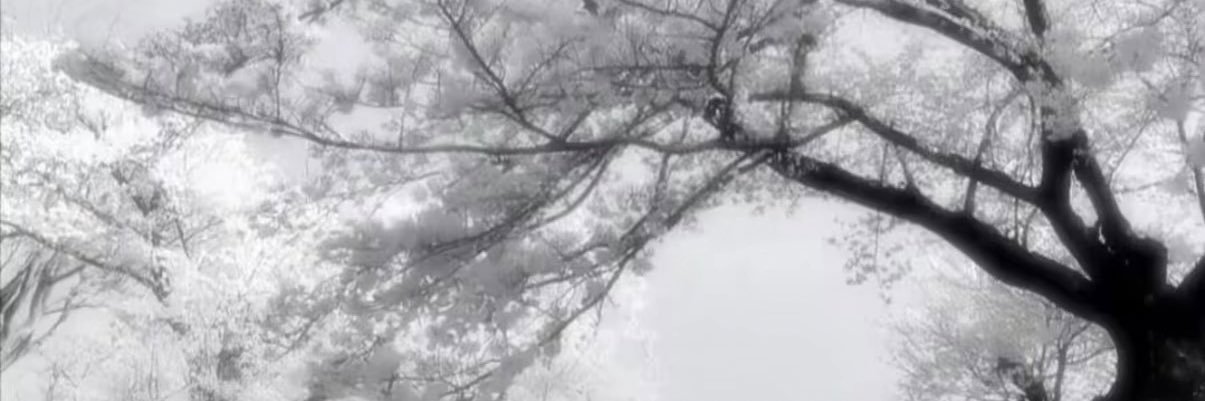 Ice1208cream's profile banner image