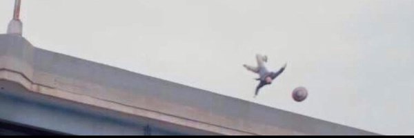 umstevebucky Profile Banner