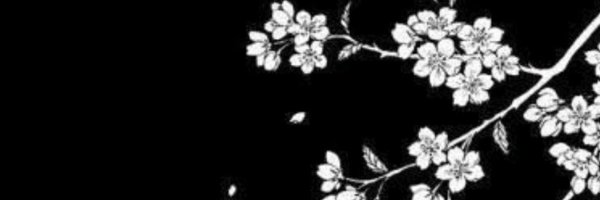 iisheckkaa Profile Banner