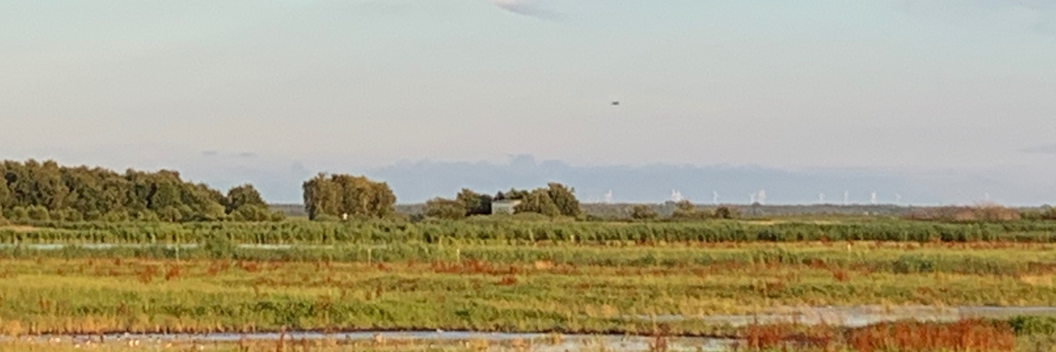 Frauke Mattner banner