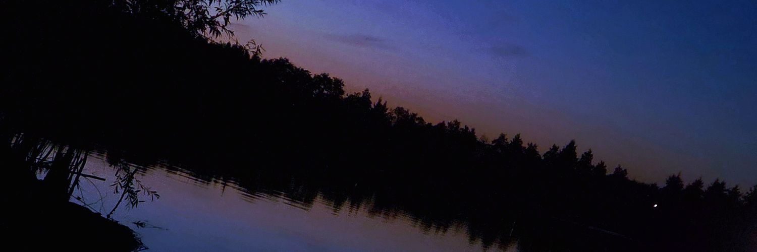 Laallass00's profile banner image