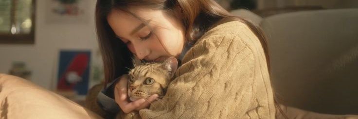 SeraSeraa 🦋°•` banner