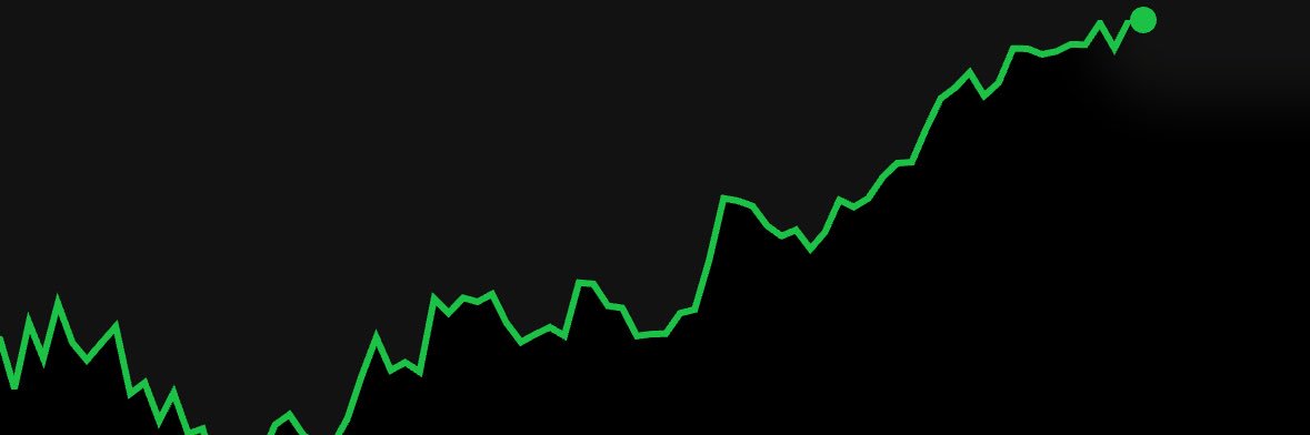 Wuhan WiseCat banner