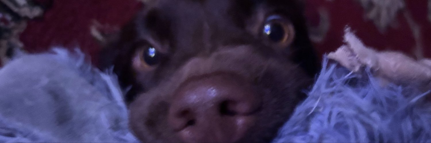 RobbieWozHere's profile banner image
