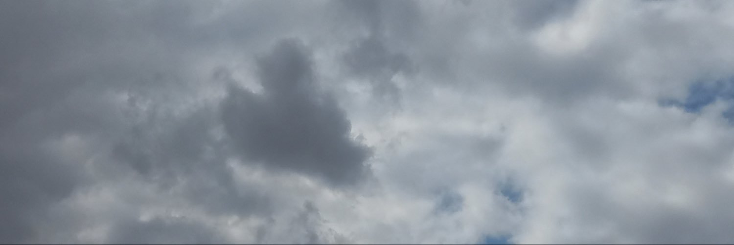 TulipsAreR's profile banner image