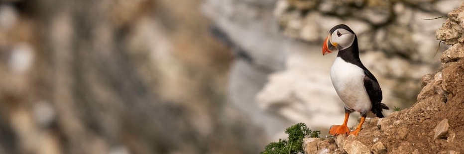 jenkywill's profile banner image