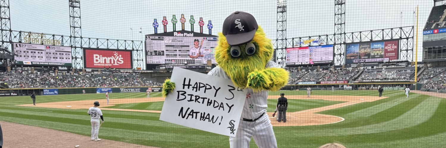 big white sox fan banner
