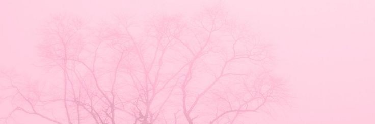 Liaa_115's profile banner image