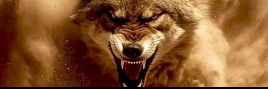 Ahdee-Vefaa🇹🇷 banner