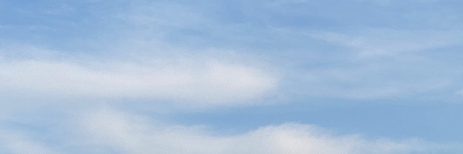 dearsohneya's profile banner image