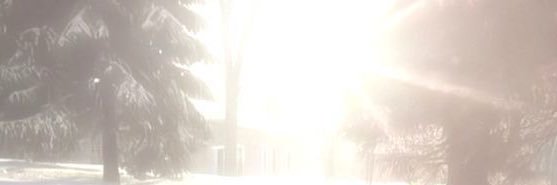 anicalzz's profile banner image