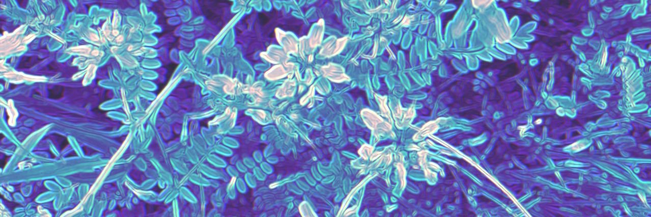 Cameron Metcalf banner