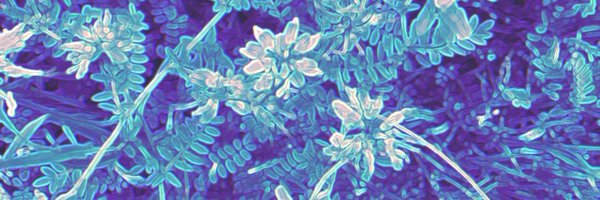 podeas Profile Banner