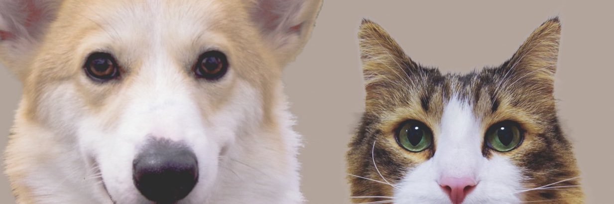 tomopoid_0926's profile banner image