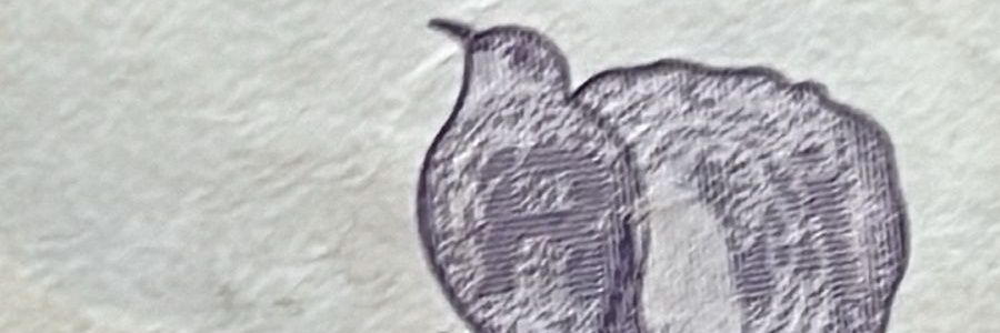 EpopeyaArg's profile banner image