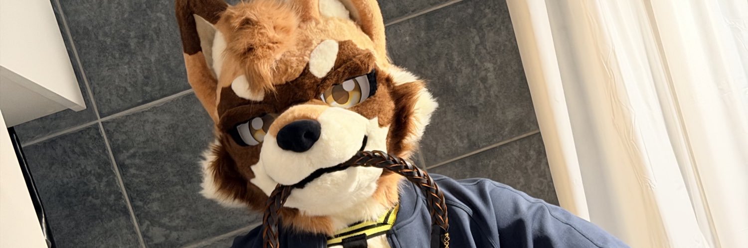 Chung 腸粉🔜🇺🇸Furlingame banner