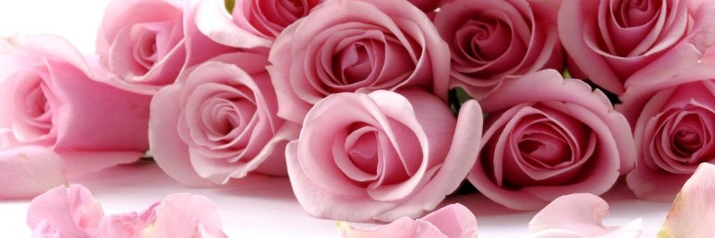 44444was's profile banner image