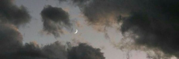 ddlgncn Profile Banner