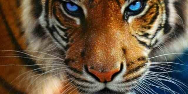 prettyfcaegirlz's profile banner image