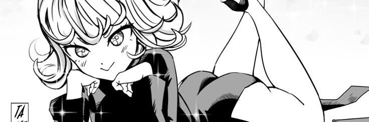 TatsuTrans's profile banner image