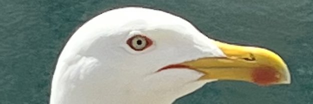 larryy's profile banner image
