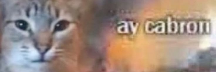 honey ig 🔞 banner