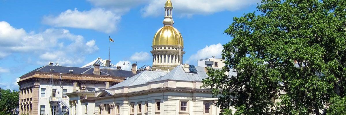 VoteFrankieFlip's profile banner image