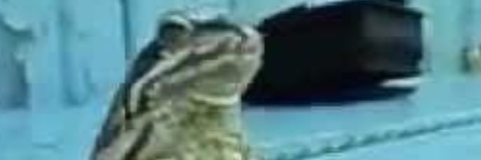 personfr banner