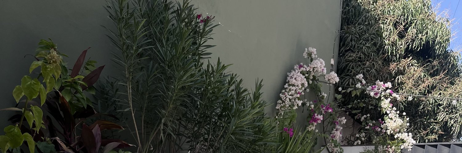 - 🦢 banner