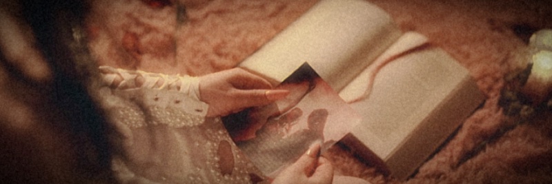 Everything Ellise ✧ banner
