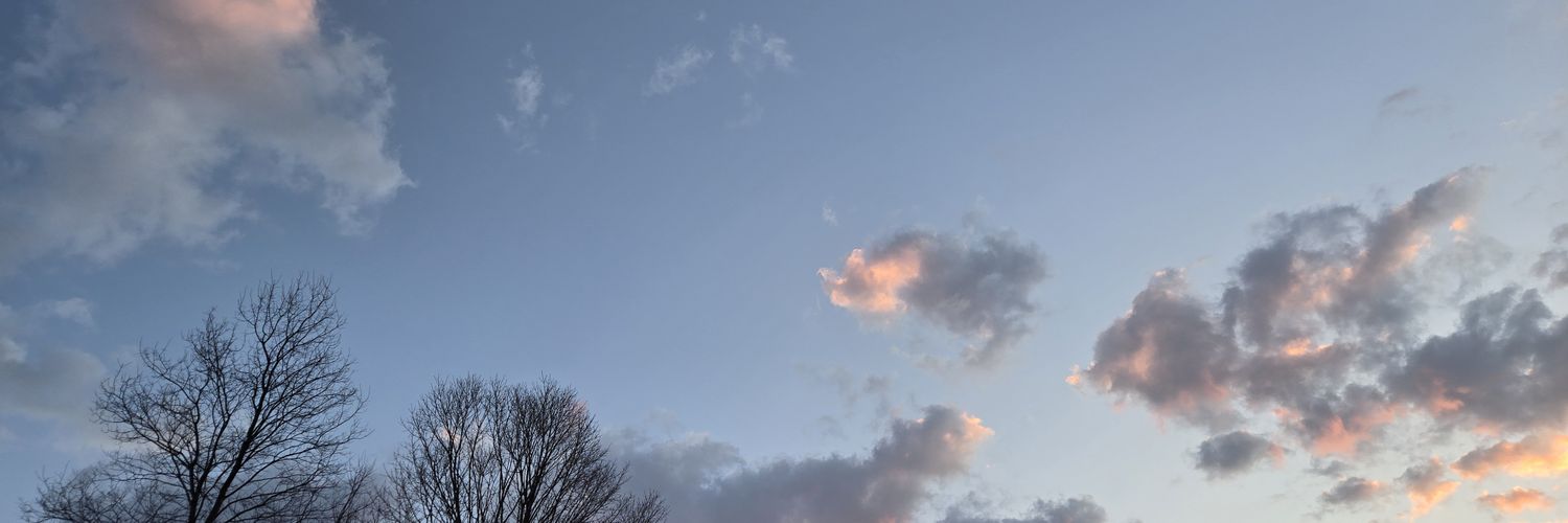 Evan Howell banner