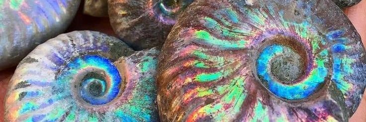 melizandre's profile banner image