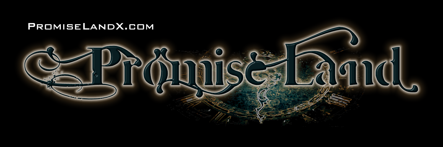 PromiseLandBand's profile banner image