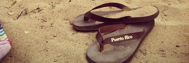 Amy Rivera Nassar banner