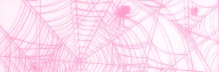 ziggy banner