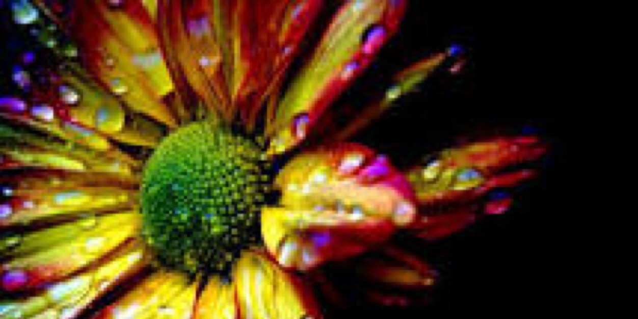 Ms_Gabby_Lee's profile banner image