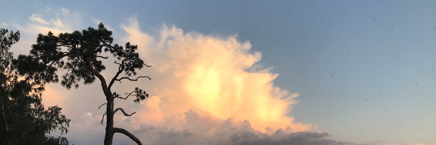 Mari Tähjä banner