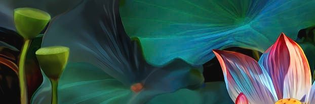 Irem28317's profile banner image