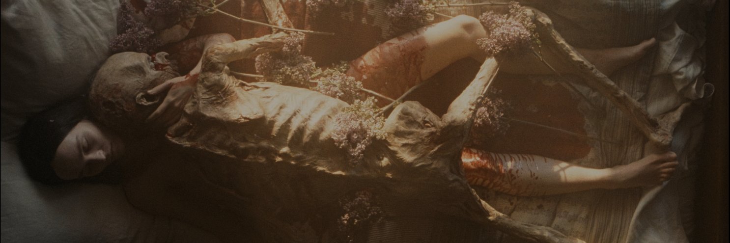 𝕮𝖊𝖈𝖎𝖑𝖆 banner