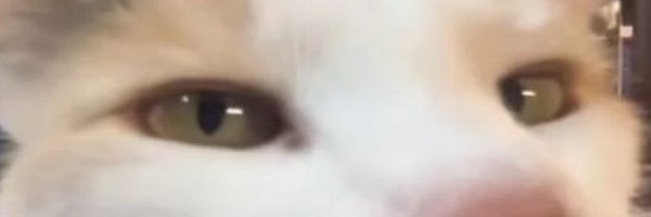discord_imdessy Profile Banner