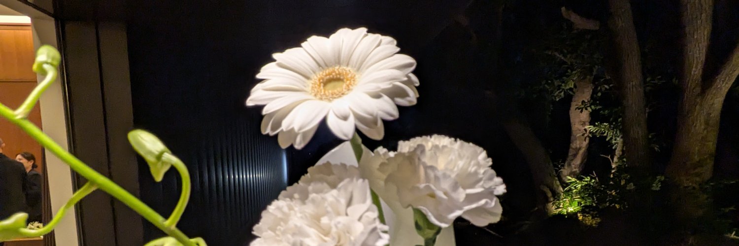 lilahidari's profile banner image