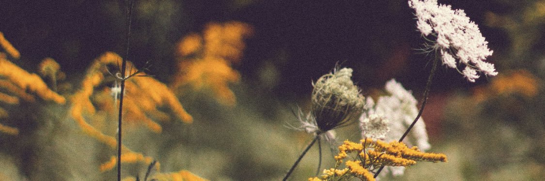 KRChick17's profile banner image