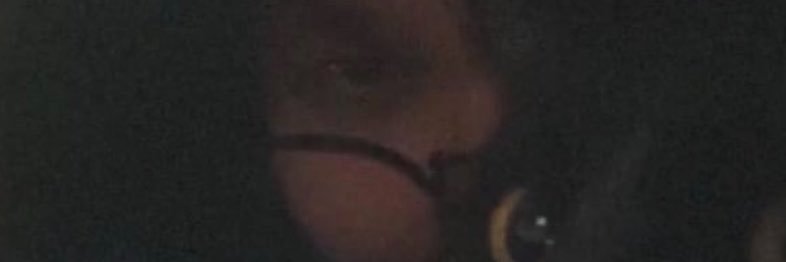 h0lsti_'s profile banner image