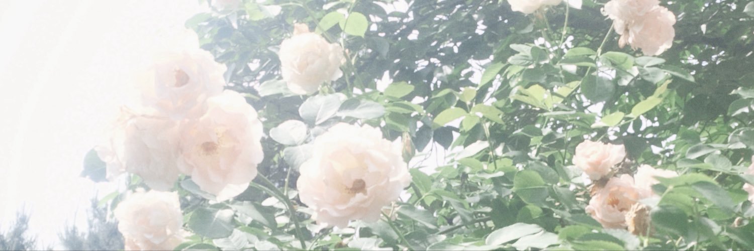 puamin0x's profile banner image