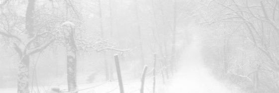 npdgackt's profile banner image