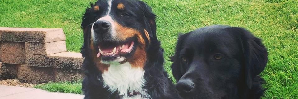 ljneidel's profile banner image