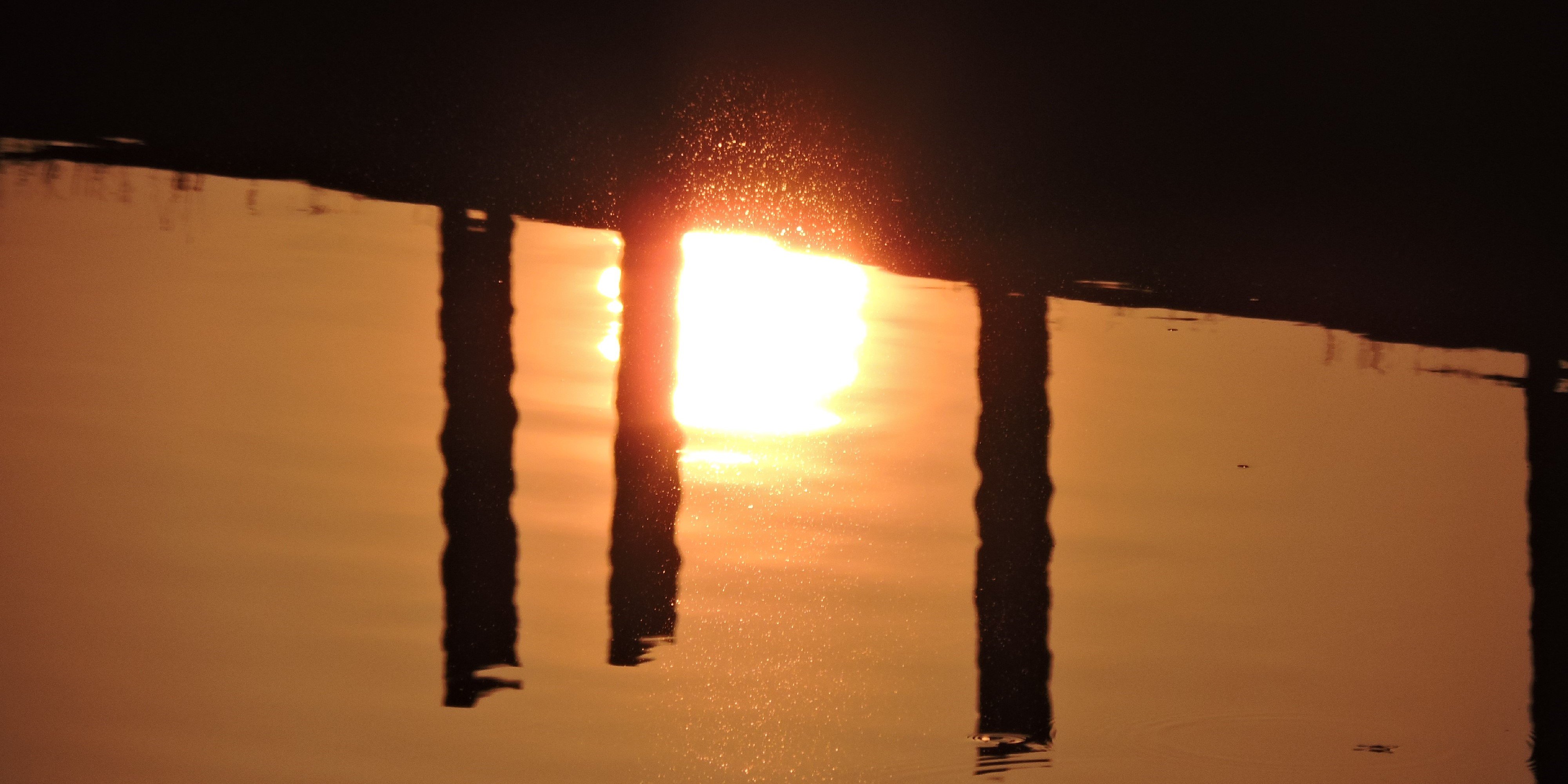 AmoghDiwan's profile banner image