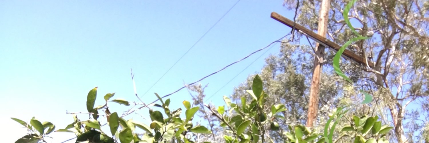 mcdonaldjoe's profile banner image